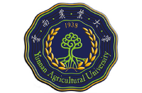 2024年廣西高考文科500分左右能報什么大學(xué)