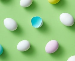湯加語專業(yè)高考報考選考科目要求
