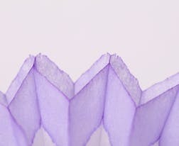 2024年江蘇高考成績及高考分數(shù)線公布時間是哪天？