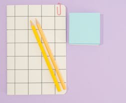 柳絲長(zhǎng)，桃葉小，深院斷無(wú)人到是什么意思？